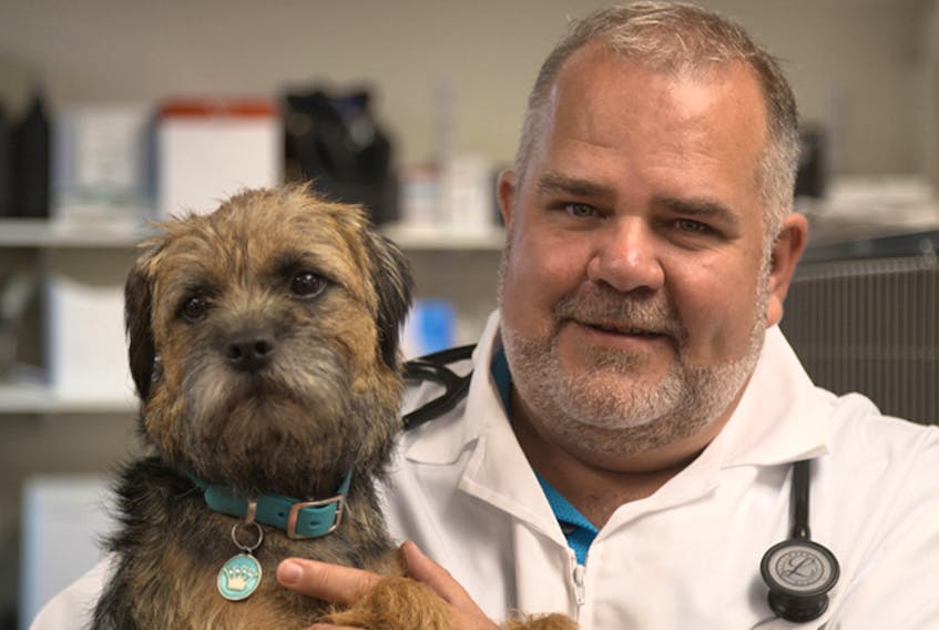 Dr. Barry MacEachern, who became well-known on the show Hope for Wildlife, is now staring in his own show called Dr. Barry. The show is filmed at his Burnside vet clinic. - OUTtv