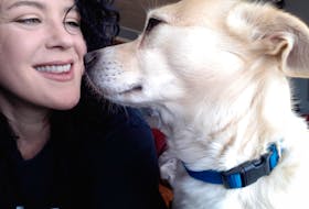 Ben, a five-year-old stray, looks at his foster mom Tiffany Binns. Binns, who picked Ben up on April 20, said the COVID-19 pandemic made it the ideal time to welcome a foster dog into the home she currently shares with cats Francis and Bea. CONTRIBUTED/Tiffany Binns