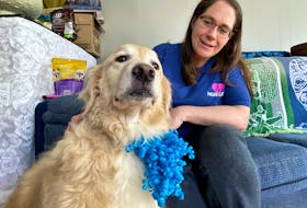 Ann Harrington gives a little love to Cupid, who saved the family with his barking after wiring to a light fixture began sparking in the middle of the night.
Carla Allen
