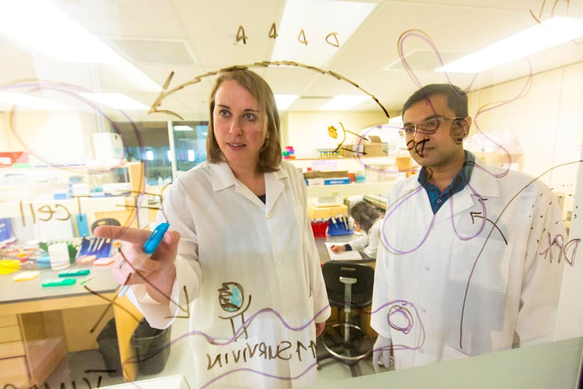 Marianne Stanford, vice president of research and development at Dartmouth-based IMV Inc. is shown with Arthvan Sharma from company's quality team. IMV announced on Wednesday that it is working on finding a vaccine to defeat the COVID-19 virus. 
