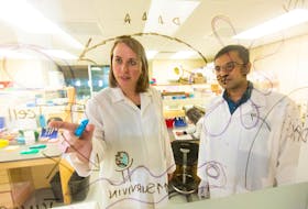 Marianne Stanford, vice president of research and development at Dartmouth-based IMV Inc. is shown with Arthvan Sharma from company's quality team. IMV announced on Wednesday that it is working on finding a vaccine to defeat the COVID-19 virus. 
