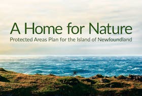 The Wilderness and Ecological Reserves Advisory Council's protection plan for Newfoundland was released last month. 