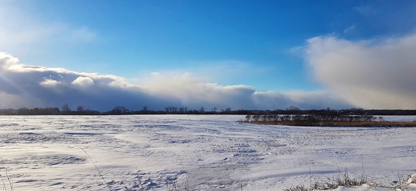 Bands of heavy snow on an otherwise sunny day! Lisa Seaton spotted this snow squall coming across the marsh to the west end of Truro NS.  The stronger wind, the farther they travel.
