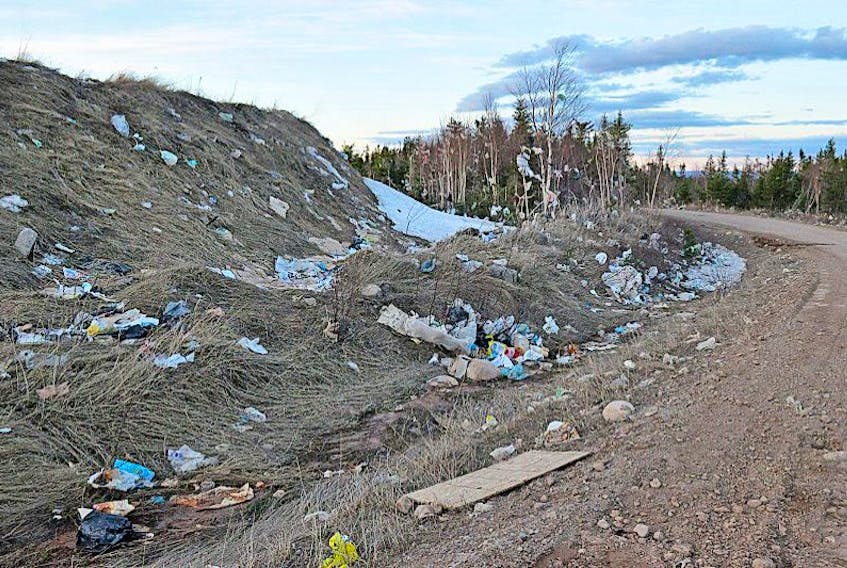 A 2016 photo shows the berm containing garbage at the Deer Lake waste disposal site. FILE PHOTO
