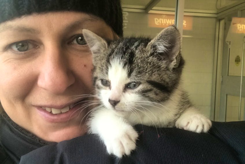 Tayna Wight of Deer Lake Kitty Rescue, was involved in the rescue of over 40 cats from Little Bay Islands last Christmas, including Little Bae, a kitten that eventually found a home in Labrador.