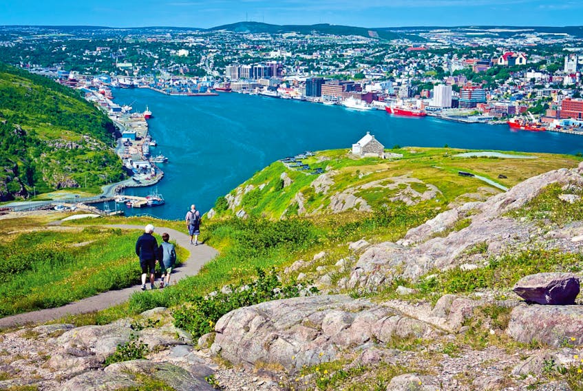 A city on the edge of nature, St. John’s has everything you need for the perfect staycation. - Photo Contributed.
