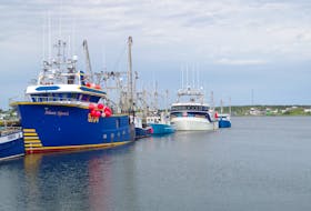 Fishing boats at Catalina, Trinity Bay. The owners of these fishing enterprises can now apply for a grant program announced by DFO to cover costs associated with the COVID-19 pandemic. Crew members are also eligible for a wage subsidy through a Fish Harvester Benefits Fund.