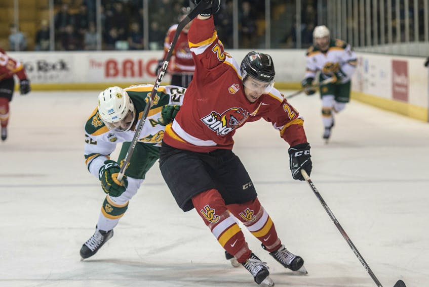 University of Alberta Golden Bears defenceman harrasses Mitch Cook of the University of Calgary Dinos at Clare Drake arena on Jan. 24, 2020.