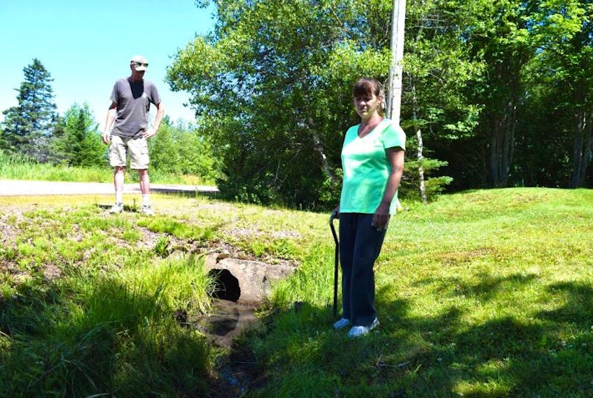 Bible Hill residents Kerry Moore and Maggie Traverse are fed up with having to deal with stagnant water because the ditches and culverts on Guest Drive have not been maintained by the Department of Transportation for decades. Although Traverse attempts to keep the ditch in front of her house cleaned out, the water cannot drain away beause of the clogging on each side of her property.