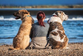 A woman with two dogs - pixabay.com