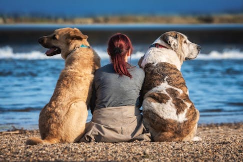 A woman with two dogs - pixabay.com