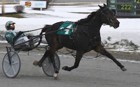 Bettim Again in the winner's circle at Red Shores at the Charlottetown Driving Park after claiming his P.E.I. Colt Stakes division in a Maritime and track record for two-year-old pacing colts of 1:54.1 in September. 
