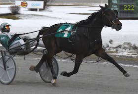Bettim Again in the winner's circle at Red Shores at the Charlottetown Driving Park after claiming his P.E.I. Colt Stakes division in a Maritime and track record for two-year-old pacing colts of 1:54.1 in September. 
