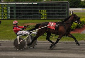 Lovineveryminute prepares to cross the finish line at Red Shores at the Charlottetown Driving Park.
Gail MacDonald/Special to The Guardian