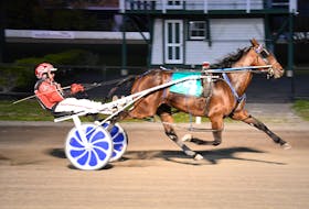 Ramblinglily, with Gary Chappell at the lines, crosses the finish line at Red Shores at the Charlottetown Driving Park.
