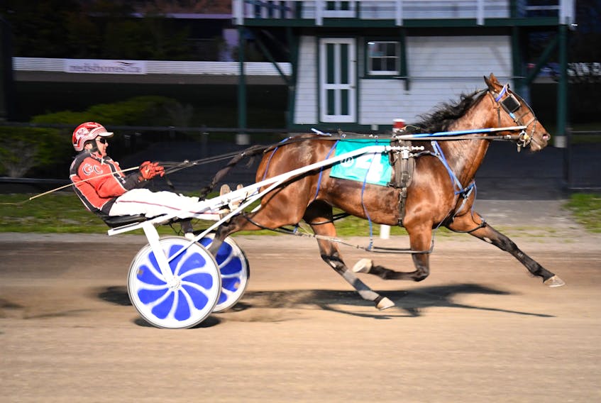 Ramblinglily, with Gary Chappell at the lines, crosses the finish line at Red Shores at the Charlottetown Driving Park.

