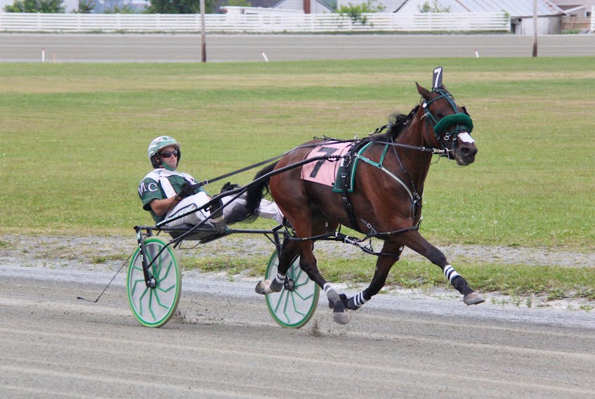 Malabrigo wins a race at Truro Raceway in Nova Scotia with trainer-driver Marc Campbell. The filly won 16 races in her undefeated 2012 season as a sophomore and was a star offspring of stallion of the decade, Western Paradise. 