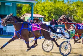 Woodmere Stealdeal and driver Marc Campbell won the Nova Scotia Stake for two-year-old pacing colts at Northside Downs in North Sydney on Saturday. Bettim Again, right, finished second. TANYA ROMEO/Special to The Guardian