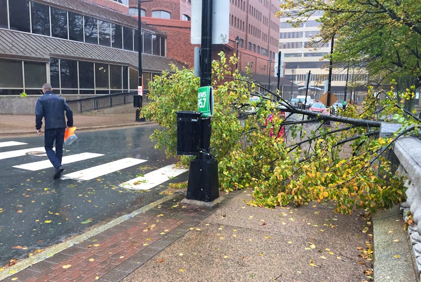 A branch from a tree in the Halifax Grand Parade fell on to the sidewalk along Argyle Street because of the high winds Thursday. A weather bomb bringing winds of up to 80km/hr and expected 40 to 60 mm of rain caused downed power lines, outages and downed trees.