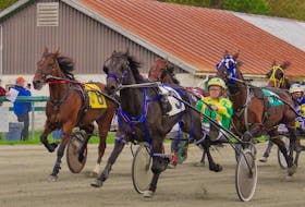 Johnnie Jack, centre, and driver Greg Sparling lead the field through the stretch to win Northside Down’s feature face at the North Sydney facility on Saturday. CONTRIBUTED • TANYA ROMEO