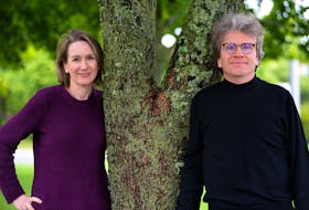 Violinist Nancy Dahn and her husband, pianist Timothy Steeves, make up the Juno Award-winning Duo Concertante. Their latest project will entertain virtual concert-goers while encouraging action on climate change. KEITH GOSSE/THE TELEGRAM