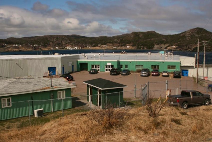 Union president Earle McCurdy said he doesn’t believe the fish plant in Burin needs to be shut down, just that High Liner believes it “saw a chance to make a bigger buck elsewhere.” — Photo by Paul Herridge/The Southern Gazette