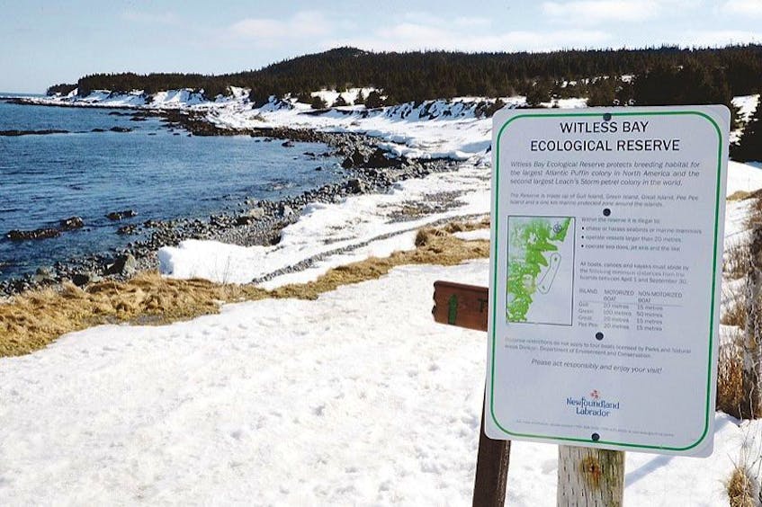 A portion of the East Coast Trail goes along Ragged Beach in Witless Bay. The town council has voted against a small housing development in the area.<br />— Photo by Keith Gosse/The Telegram