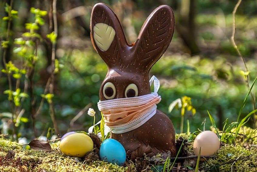 Easter Bunny in medical mask. - Image by Susanne Jutzeler from Pixabay