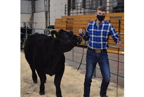 Daniel Naddy of Orwell Cove captured the grand champion and 4-H champion showmanship class trophies Thursday at the 70th annual Easter beef Show and Sale in Charlottetown.