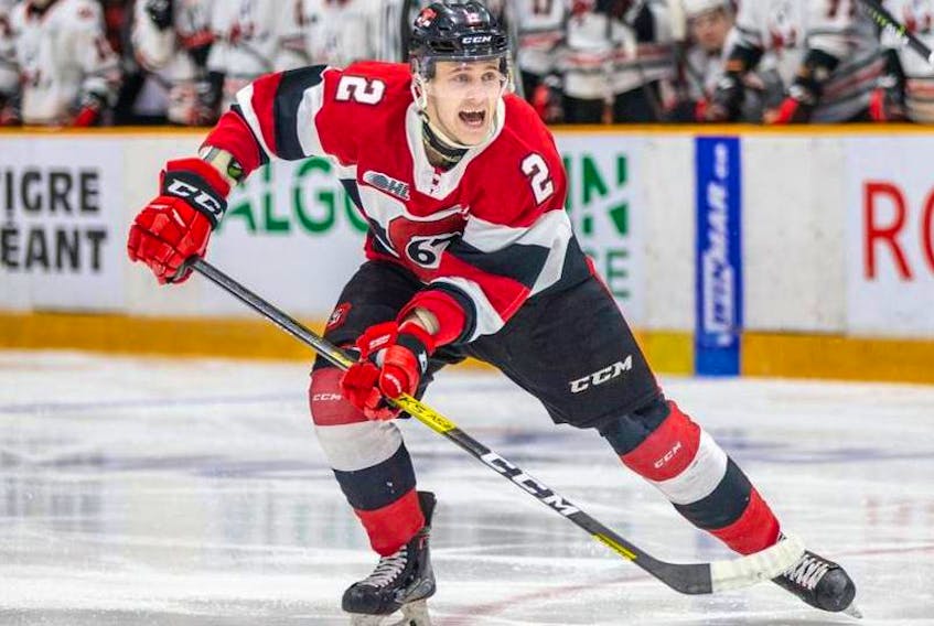 The Toronto Maple Leafs just signed overage junior Noel Hoefenmayer to a free agent contract. Hoefenmayer led all rearguards in scoring in the OHL with 82 points in 58 games last season. — Postmedia photo