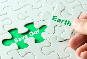 Ecoliteracy is considered part of the puzzle for environmental health. This stock photo of Save Our Earth is by Kenishirotie. 