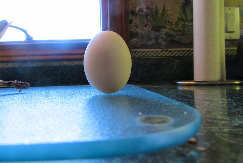 This image gives you the result of our experiment on March 20,” Shelley and Karl Webb from St Margaret’s Bay, N.S, wrote after trying to balance an egg on the spring equinox. “The egg did indeed remain upright from 1:14 until 2:04 p.m., when I accidentally brushed against it and it toppled.”