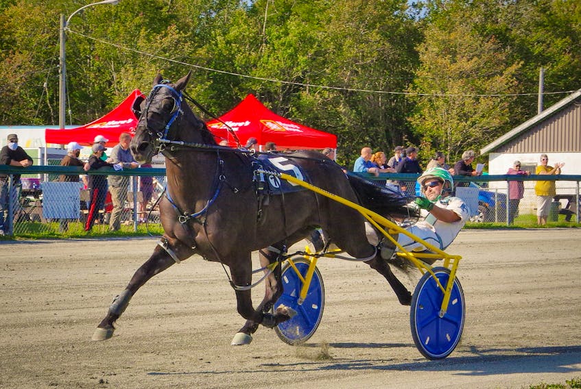 Euchred and driver Mark Pezzarello claim victory during harness racing action at Northside Downs in North Sydney on Saturday. CONTRIBUTED • TANYA ROMEO