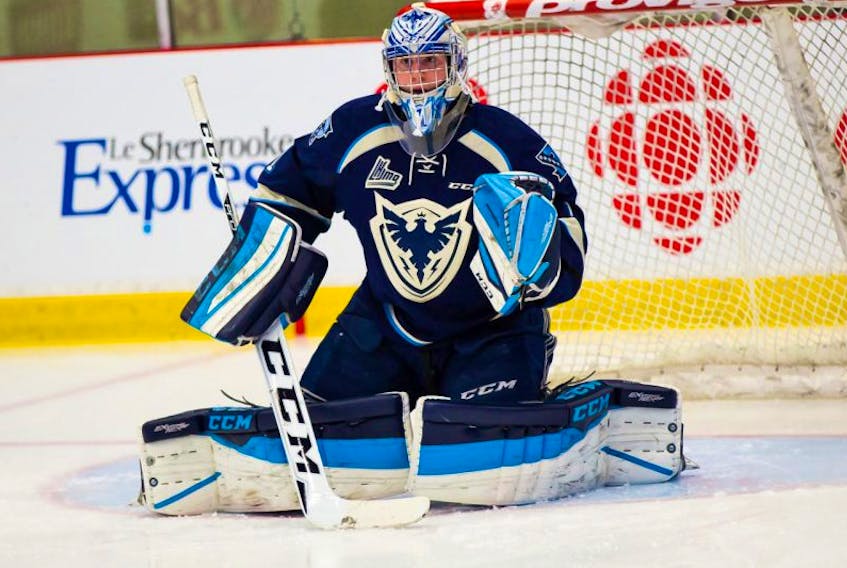 <p>St. John’s native Evan Fitzaptarick, a goaltender for the QMJHL’s Sherbrooke Phoenix, is Central Scouting’s top-rated North American netminder for the 2016 NHL Entry Draft, beginning tonight in Buffalo.</p>