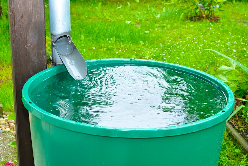 The Rain is a Resource rain barrel giveaway hopes to divert five-million litres of stormwater from the sanitary sewer system and use it as a valuable resource. STOCK IMAGE