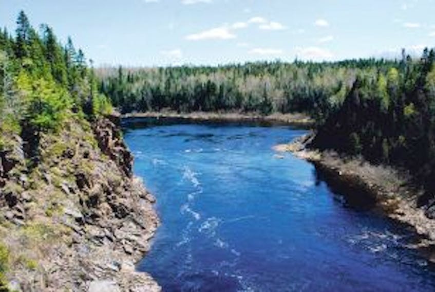 ['Salmon fishing season opens Sunday and anglers are getting ready to hit rivers such as the Exploits River.&nbsp;']