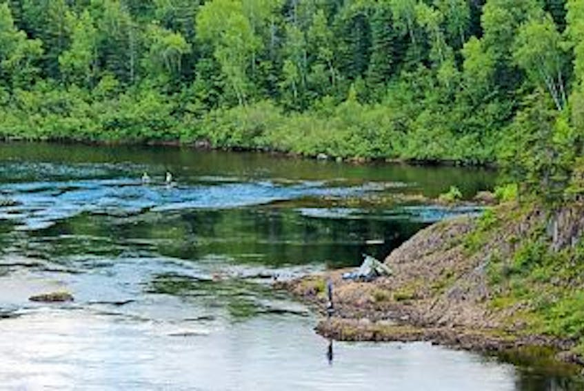 ['<p>The Atlantic salmon run on the Exploit’s River was down about 25 per cent this summer.</p>']
