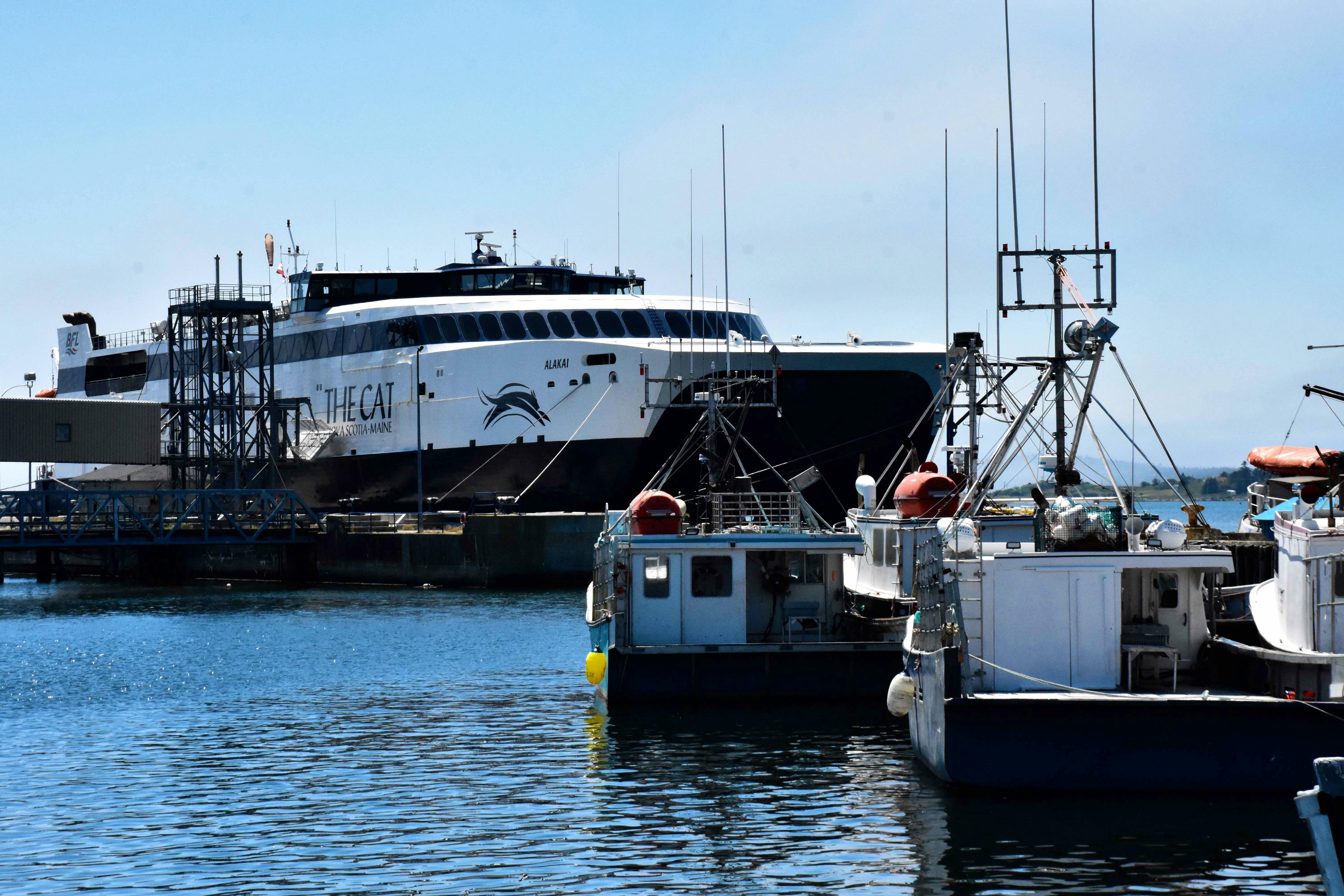 Bay Ferries says it is refunding all sailings that have been booked on The Cat and it is no longer accepting new reservations for the 2019 sailing season until there is a definitive answer of when the ferry will sail.