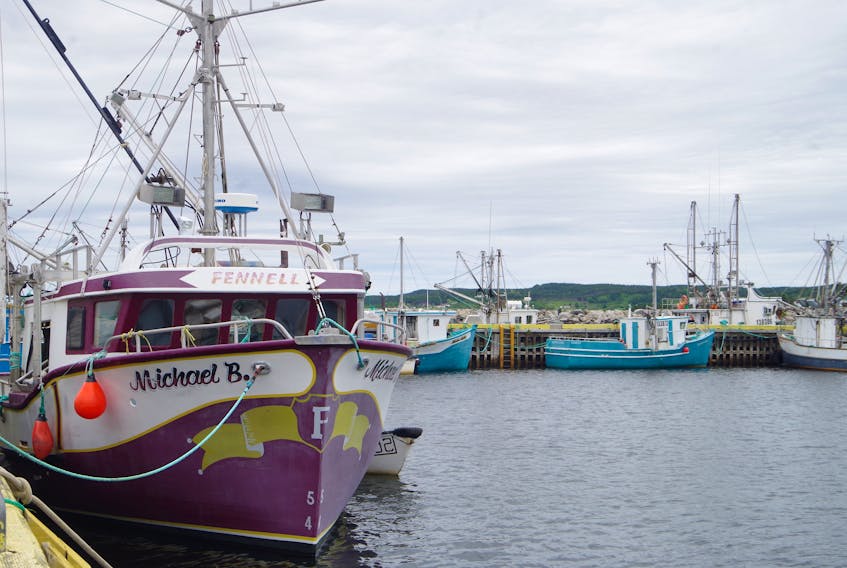 Inshore fishing boats in Summerville, Bonavista Bay. The fishermen who operate these smaller vessels depend on a little bit of everything — crab, lobster, caplin and cod — to earn an income during the fishing season.
