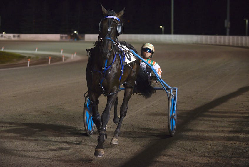 Casimir Richie P, who won Trial 2 with Dale Spence driving, is the favourite to win The Guardian Gold Cup and Saucer tonight at Red Shores at the Charlottetown Driving Park, writes columnist Fred (Fiddler) MacDonald.