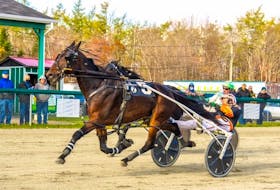 Intended Royalty and Redmond Doucet is shown leading Kiss Me I'm Irish with Mark Pezzarello during harness racing action at Northside Downs in North Sydney on Saturday. CONTRIBUTED • TANYA ROMEO