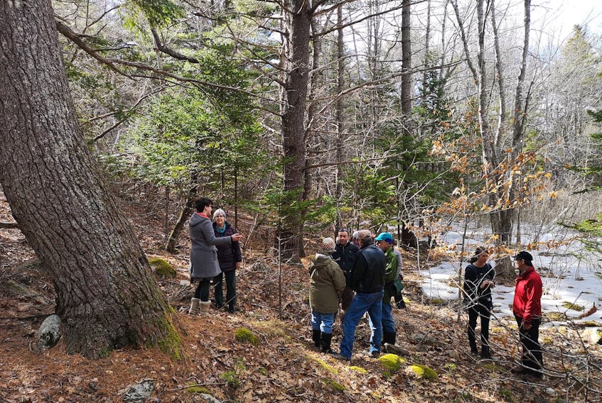 Equity members in the Treehouse Village Ecohousing development in the Town of Bridgewater get together on site for some conversation. Contributed 