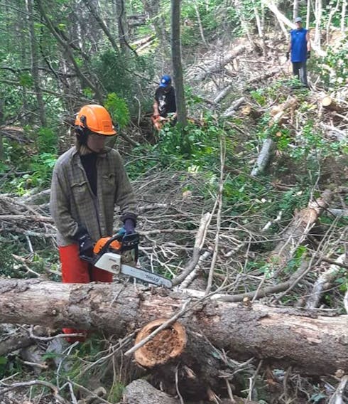 Volunteer workers work on heavy tree growth for a half-kilometer ski trail segment meant to connect the future two-building ski facility to the main trail network at the new North Highland Nordic Ski Club facility being built in Cape North. CONTRIBUTED