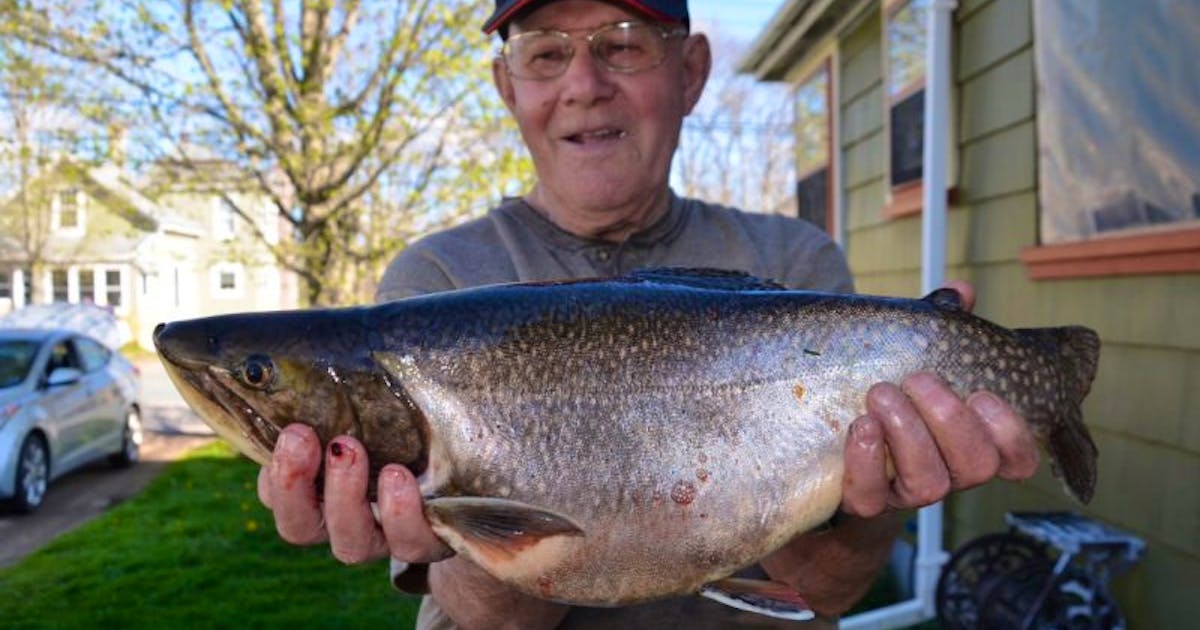 On the trail: Homemade concoctions can tempt trout, News
