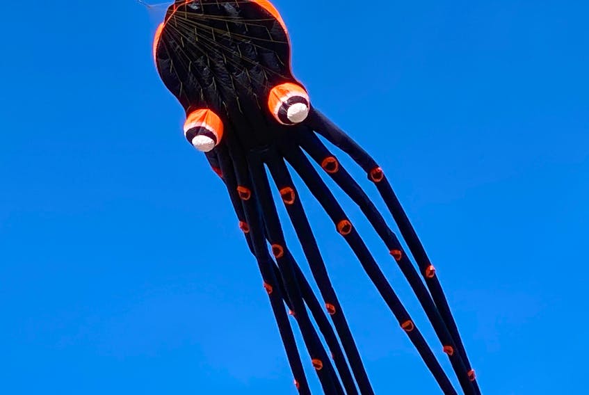 A 75-foot-long octopus kite draws attention whenever it’s flown.
Carla Allen photo
