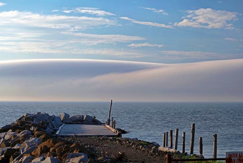 Reginald Huntley of Papa Reg Photography was at Cottage Cove in Annapolis County, N.S., last tuesday when this elegant fog rolled in. I love how the sunlight reflects just a bit in the left corner, giving the illusion of a giant wave in the distance.