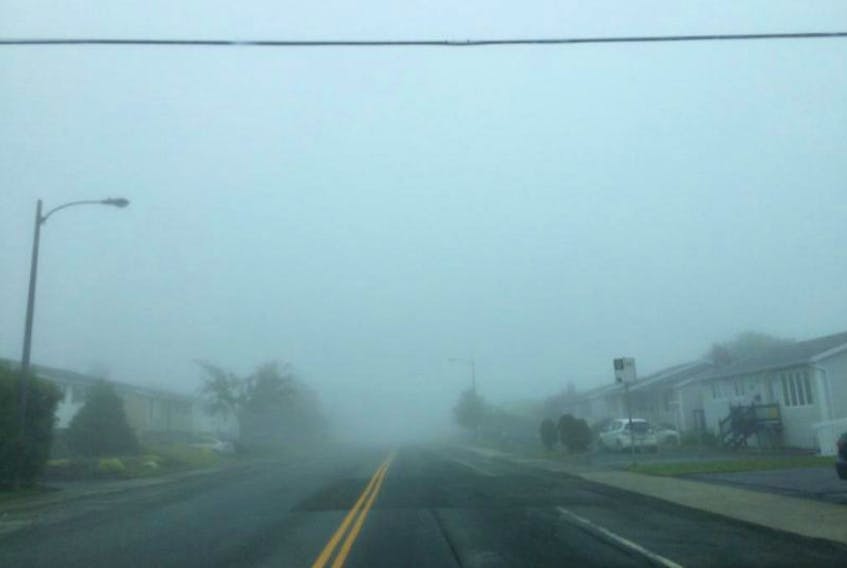 Environment Canada has issued a fog advisory for the province's south coast and southeast and southwest Avalon Peninsula beginning this evening and lasting until Thursday.