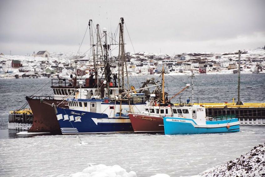 The fishery is what has sustained Fogo Island and it will continue to be a vital contributor into the future.