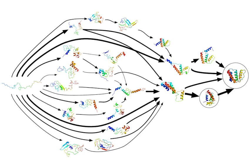 A Markov state model illustrating 15 of the highest-flux folding pathways between the unfolded and native states of ACBP, a 86-residue helix-bundle protein.