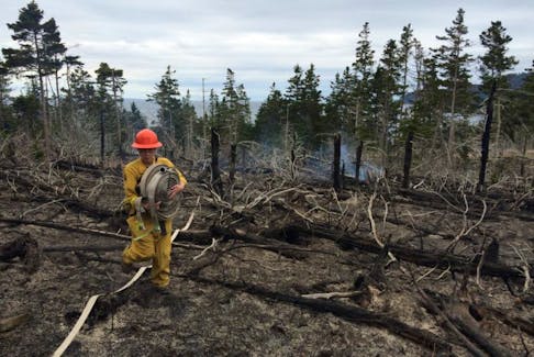 A Natural Resources firefighter carries a roll of hose through a forest fire in Cherry Valley, Digby County in May 2016.